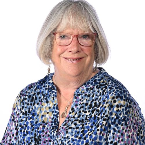 Christina Lewis  Co-opted Governor